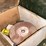 #178-•-jockey-grinders-and-parts-cabinet-image-9