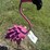 #116-•-metal-art---flamingo-bobble-head-image-2