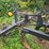 dmi-730-image-15