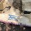 #7012-•-water-wheeler-pedal-boat-image-5