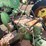 john-deere-60-image-10