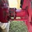 case-ih-1660-image-47