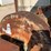 #146-•-montgomery-34hd-hzf-hog-grinder-image-8