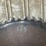 #175-•-56”-circular-saw-blade-image-3