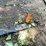 #7009-•-small-lawn-&-dump-trailer-image-9