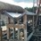 2007-timberwolf-pro-mx-image-23