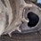 bobcat-t190-image-20
