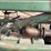john-deere-a-image-28