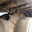 bobcat-331e-image-27