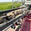 miller-nitro-2275ht-image-42