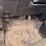 2010-ford-f150-image-20