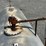 10k-gallon-/-off--road-diesel-fuel-tank-image-20