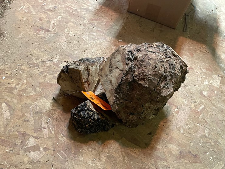 #7144-•-lot-of-burl-wood-image-2