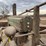 john-deere-a-image-54
