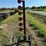 #4019-•-target-tree-image-2