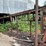 #169-•-fields-belt-conveyor-image-2