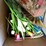 #4719-•-household-decorations-image-16