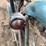 panther-motorcycle-image-25