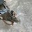 #7003-•-2000-felling-tandem-axle-trailer-(mn-title-in-delay)-image-7