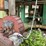 #194-•-cornell-dust-blower-image-2