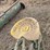 john-deere-two-bottom-plow-image-17