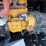#35548-•-broad-crown-generator-image-15