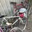 #7015-•-(various)-bicycles-image-6