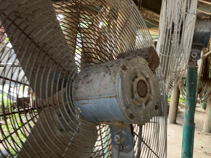 #198-•-floor-stand-fans-image-8