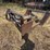 grouser-4500-image-11