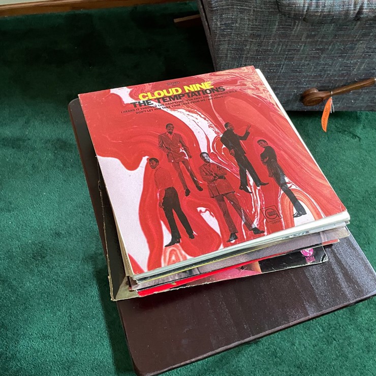 #7321 • (17) Vinyl Records