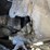 mitsubishi-gc15k-forklift-image-18