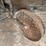 very-nice-original-van-brunt-model-v-grain-drill-image-10