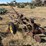john-deere-pull-type-two-bottom-plow-image-3
