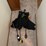 #7303-•-euro-harness-image-1