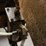 #111-•-40'-log-conveyor-image-10