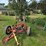 new-holland-456-image-21