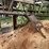 #170-•-concave-belt-conveyor-image-5