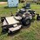 grasshopper-720k-image-33
