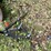 #6114-•-cultivator-attachment-image-3