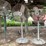 #198-•-floor-stand-fans-image-2