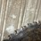 #177-•-56”-circular-saw-blade-image-9