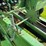 john-deere-336-image-30