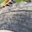 #4690-•-(2)-goodyear-tires-image-5