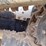 bobcat-t770-image-18