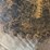 #177-•-56”-circular-saw-blade-image-7