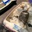 #7012-•-water-wheeler-pedal-boat-image-7