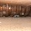 #146-•-montgomery-34hd-hzf-hog-grinder-image-9
