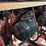 #128-•-8-head-trim-saw-image-8