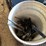 #4718-•-household-items-image-3