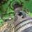 2008-john-deere-7230-premium-image-7